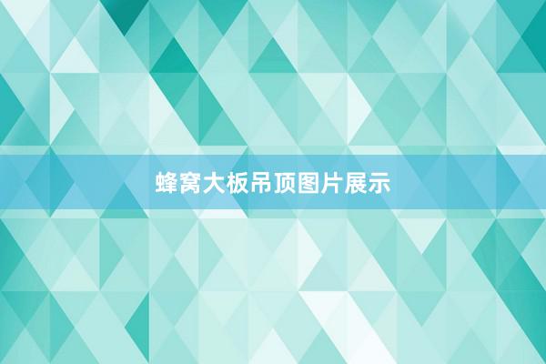 蜂窝大板吊顶图片展示